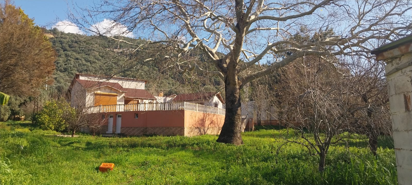İzmir Gümüldür'de Ruhsatlı Narenciye İşletme Tesisi