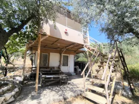 Torbalı Karakızlar Satılık 357 m2 Zeytinlik