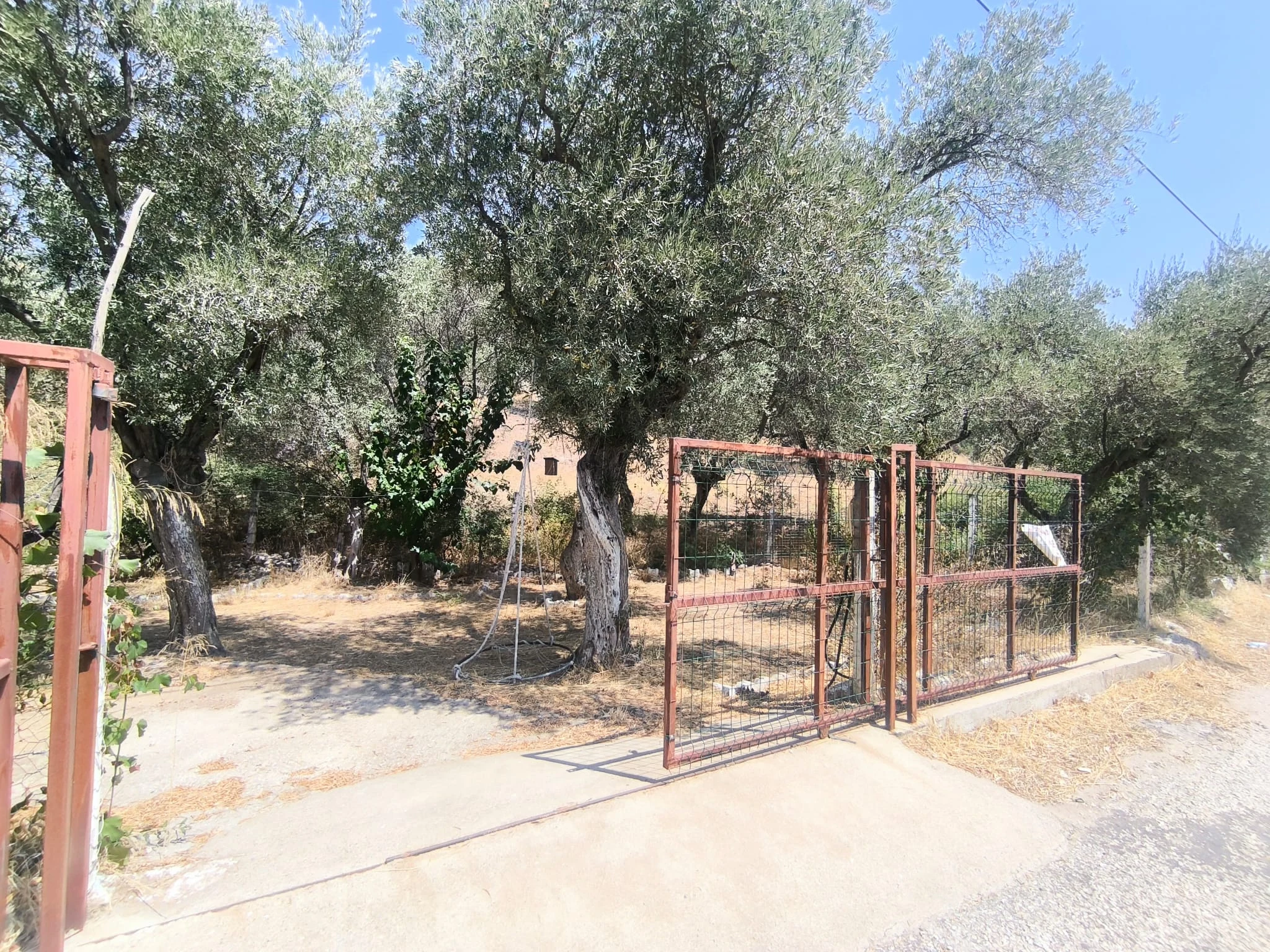 Torbalı Karakızlar Satılık 357 m2 Zeytinlik