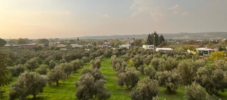İlan görseli