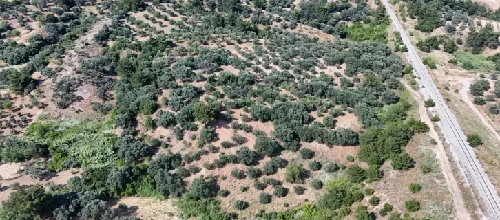 İlan görseli