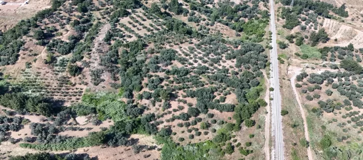 İlan görseli