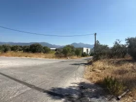 İzmir Kemalpaşa Çambel'de Satılık Zeytinli Tarla - 1201 m²