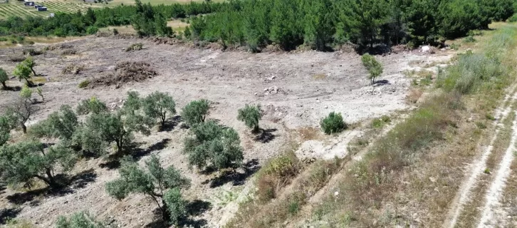 İlan görseli